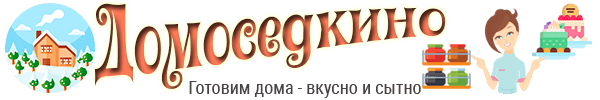 Логотип сайта Домоседкино